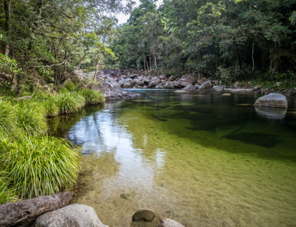Crystal-clear green river pool at Mossman Gorge framed by lush tropical rainforest canopy and granite boulders in Daintree National Park, Queensland.