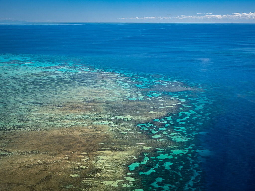 Tops & flops in Cairns