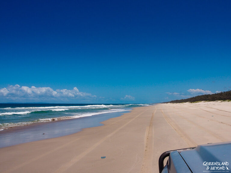 7 things to do in Bribie Island National Park