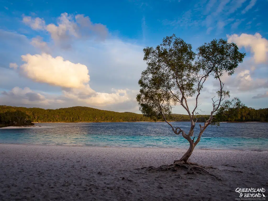 Lake Mackenzie, Fraser Island