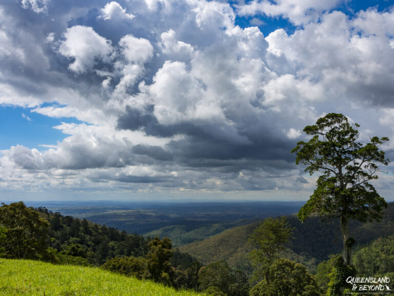 6 Fabulous Things to Do at Bunya Mountains