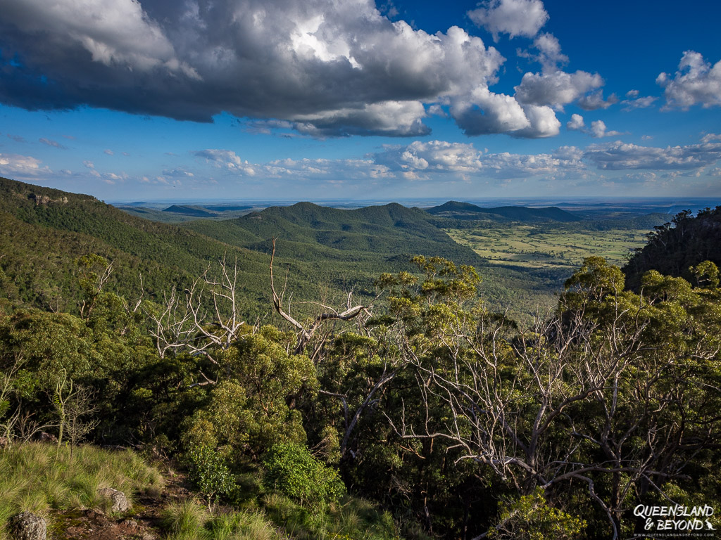 Views from Bunya Mountains National Park