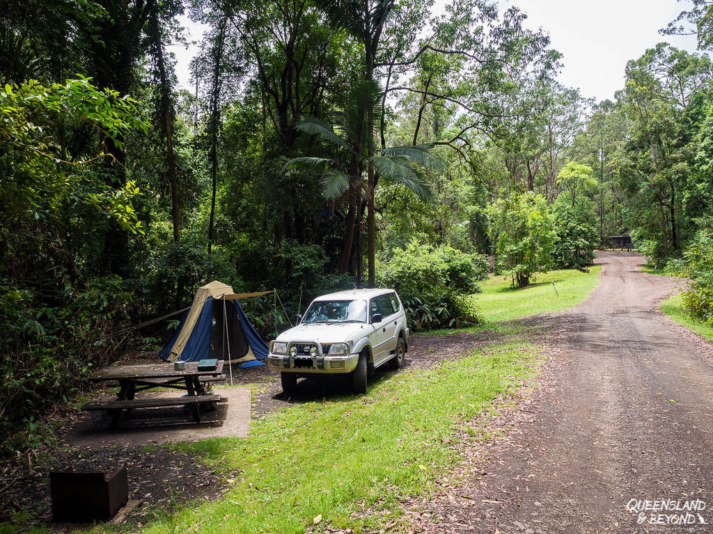 Camping at Border Ranges National Park