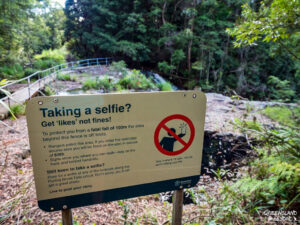 Warning sign at Springbrook National Park