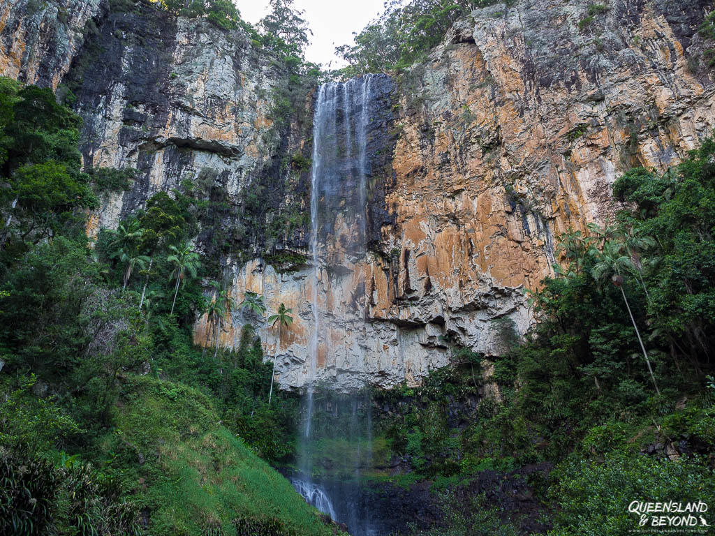 Purlingbrook Falls, Springbrook National Park