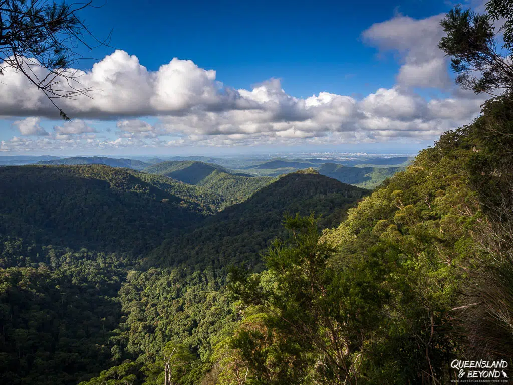 A wide-angle view from the Goomoolahra Falls lookout into the deep rainforest valley. The Warrie Circuit track winds through the dense canopy of the Gondwana Rainforest below, with the rolling hills of the Gold Coast Hinterland visible in the distance under a blue sky.