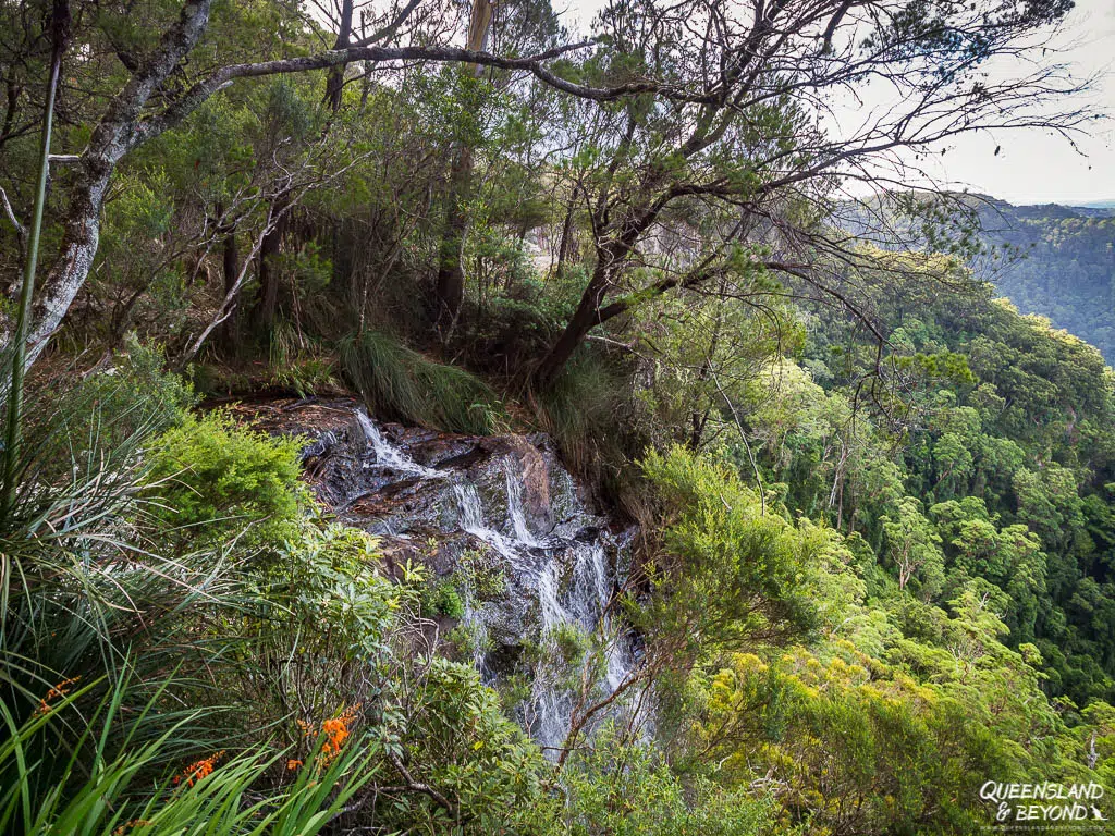 The crest of Goomoolahra Falls where the creek cascades over the rocky plateau edge. Dense montane heath and rainforest trees frame the water as it drops into the deep valley below, illustrating the obscured views typical of this lookout.