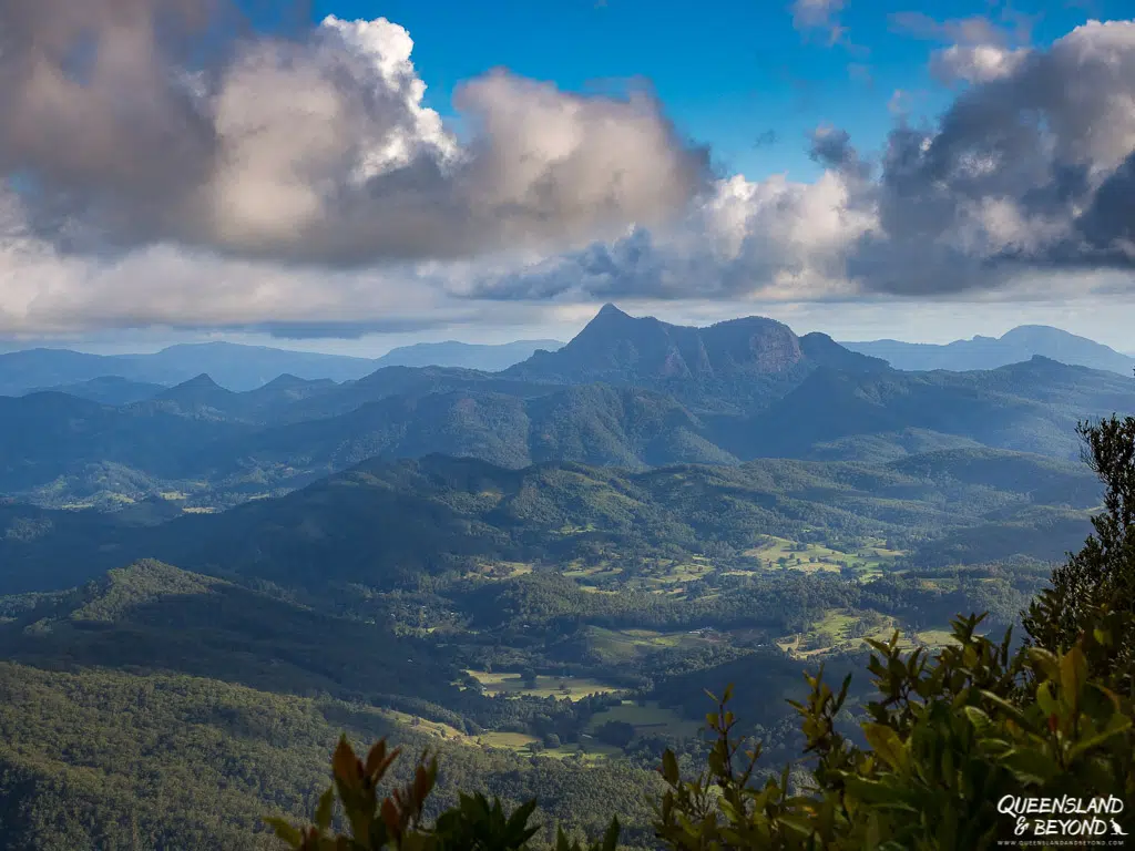 View of Mount Warning from Best of All Lookout