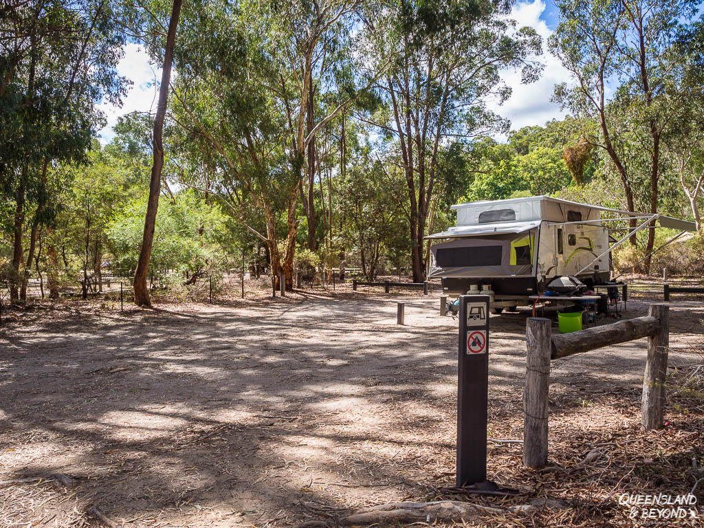 Camping at Girraween National Park