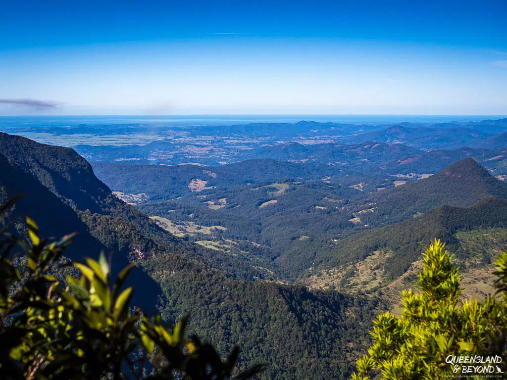 Toolona Lookout, Lamington National Park