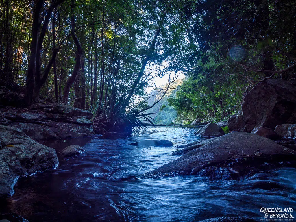 Morans Falls, Lamington National Park