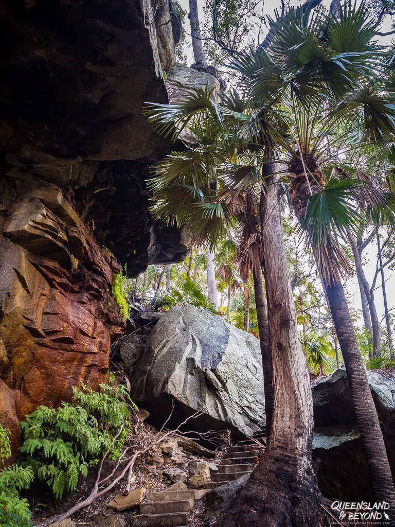 Steps at Blackdown Tableland National Park