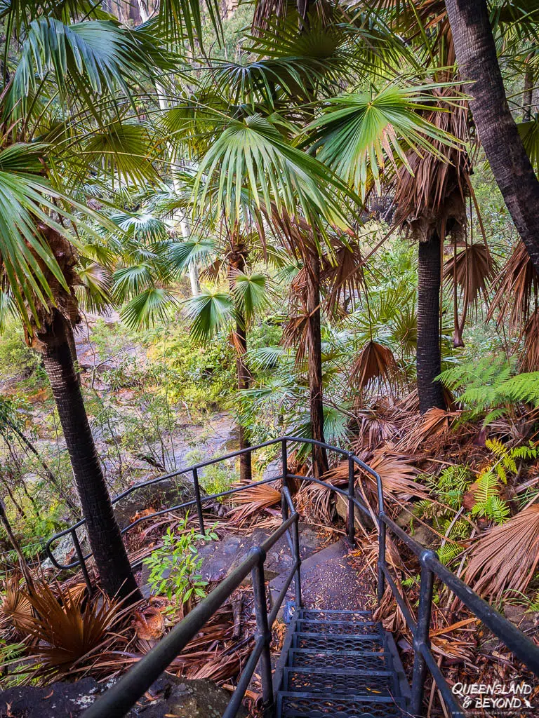 Stairs at Blackdown Tableland National Park