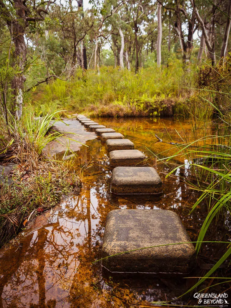 Hiking track at Blackdown Tableland National Park