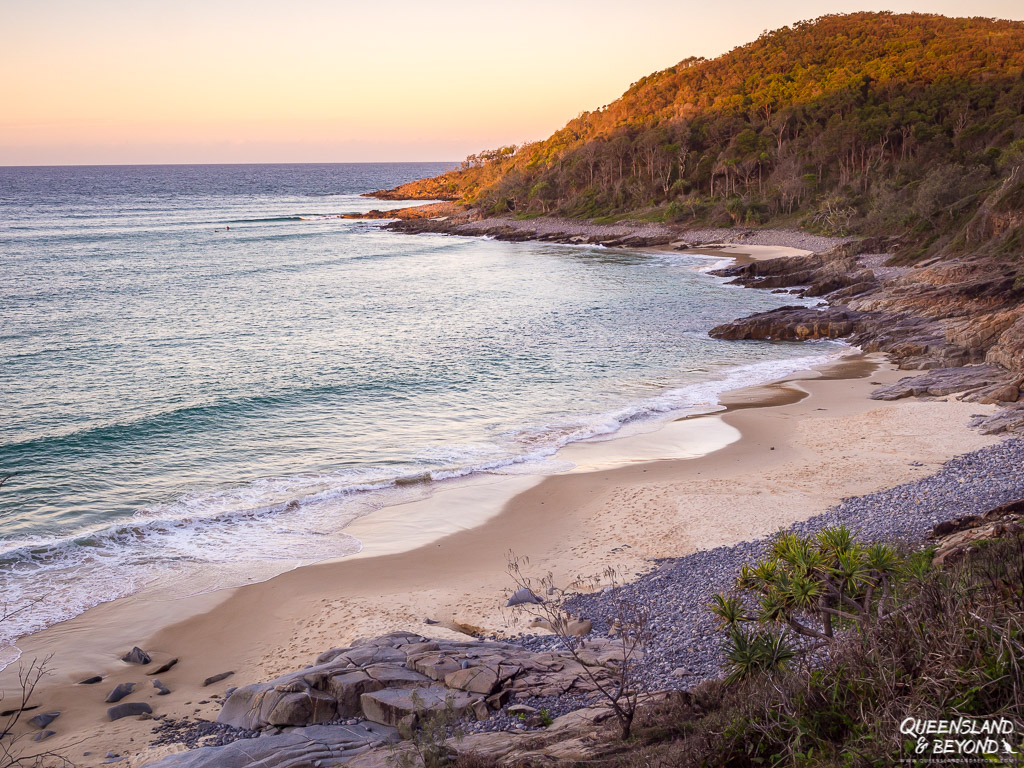 Evening light along the Noosa Coastal Walk, Noosa National Park