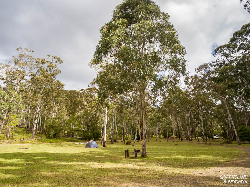 Camping area Goomburra at Main Range National Park