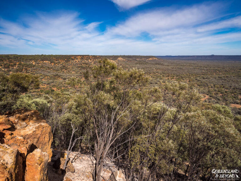 Essential guide to remote Idalia National Park