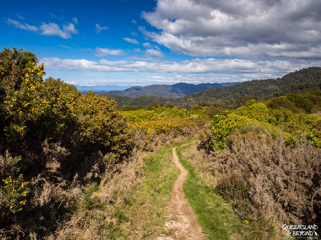 Abel Tasman Coast Track