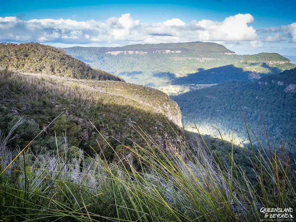 Views along Daves Creek Circuit, Lamington National Park