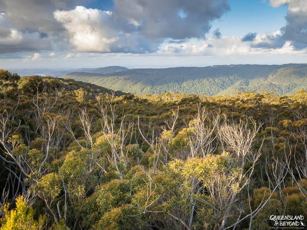 Views from Surprise Rock, Lamington National Park