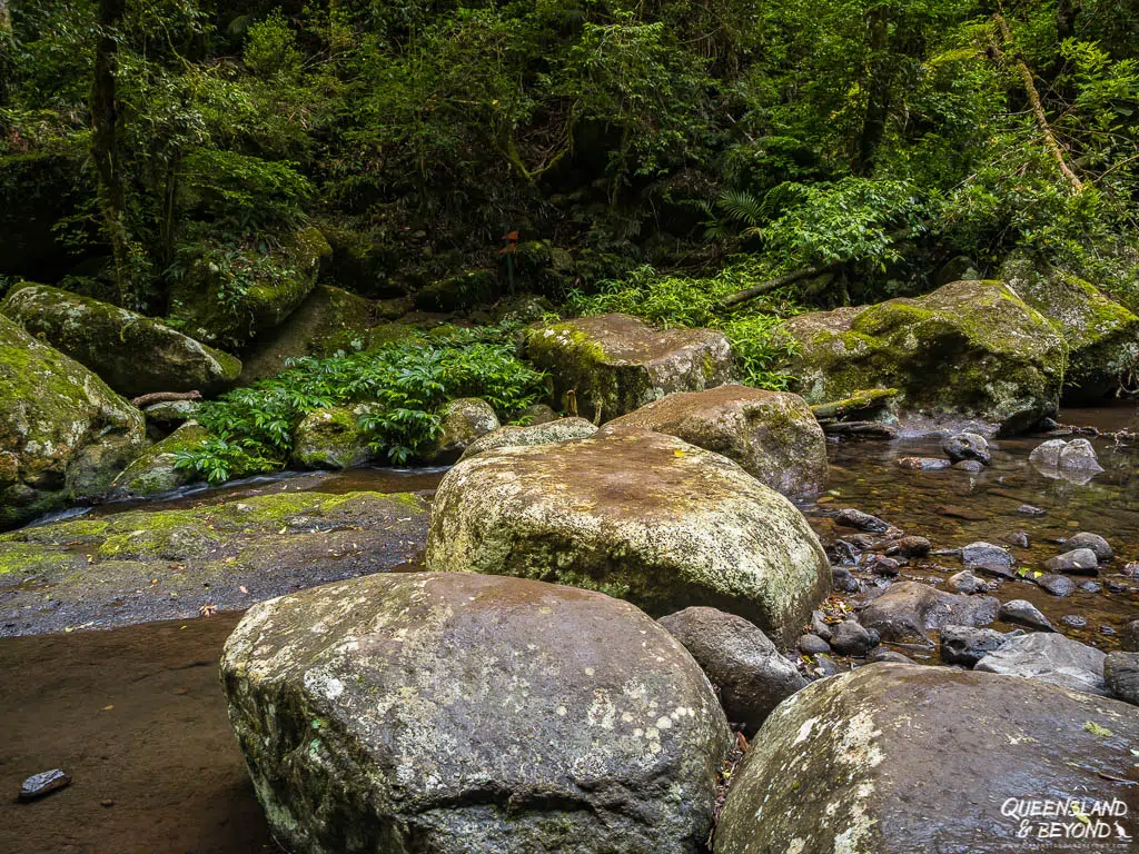 Creek crossing, Lamington National Park