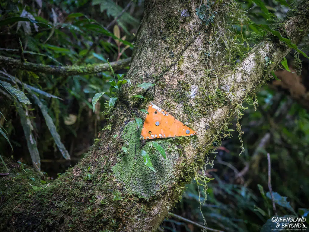 Marker, Lamington National Park