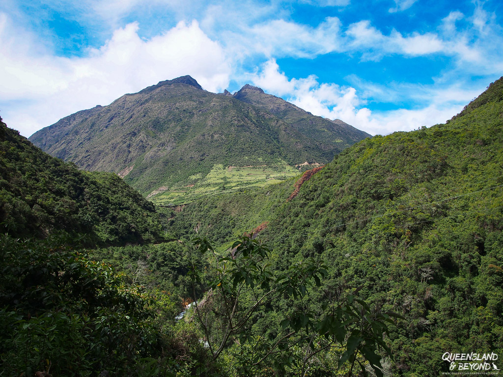 Coffee plantations and rainforest along the Salkantay Trail