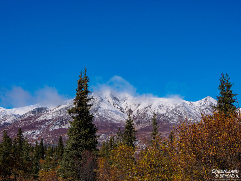 Call of the Yukon Tombstone Territorial Park