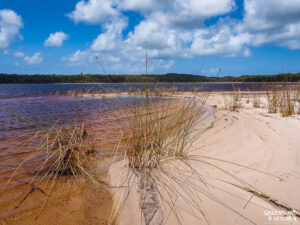 Lake Boomanjin, Fraser Island