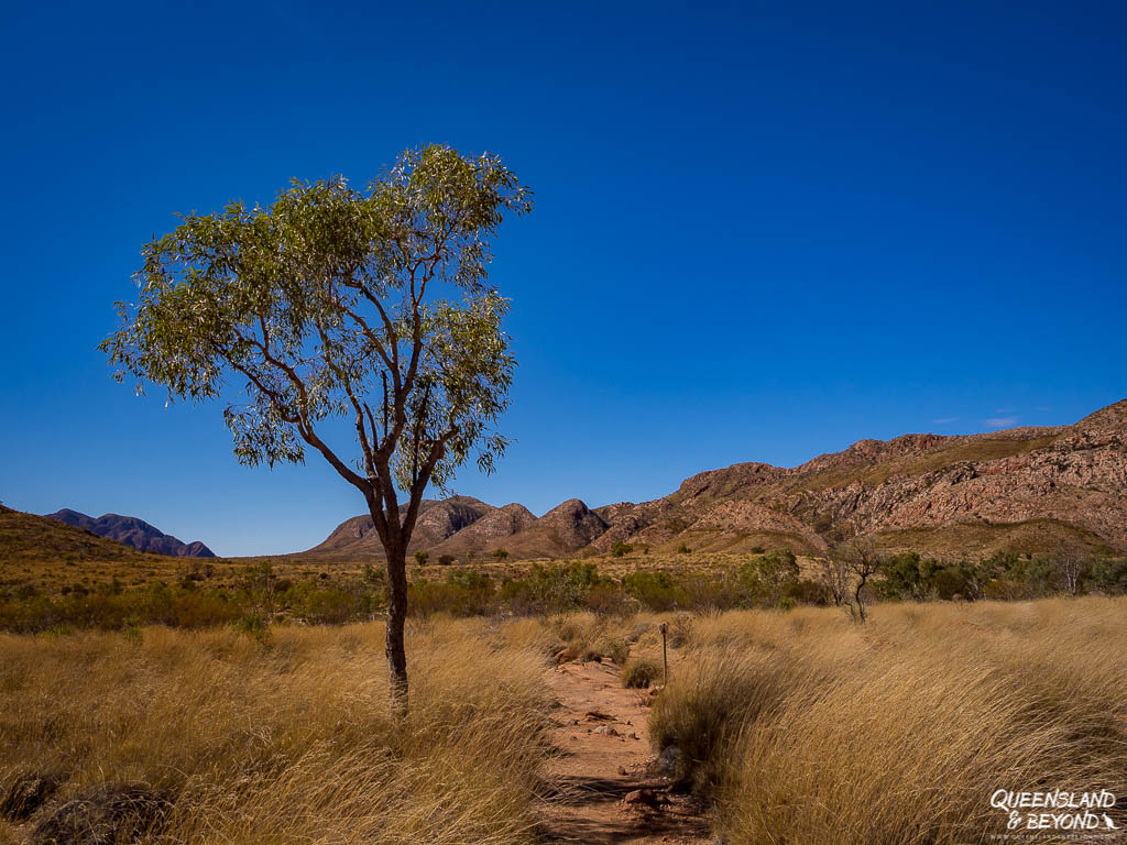 Ormiston Pound, West MacDonnell Ranges