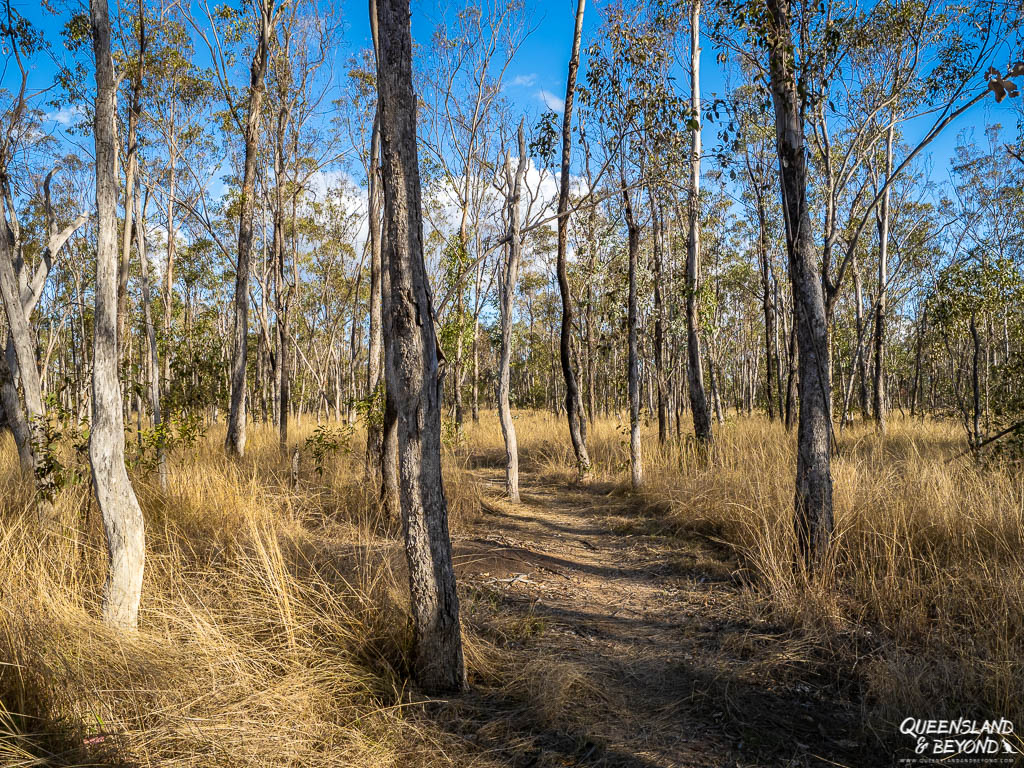 Track to Shepherd Peak, Expedition National Park