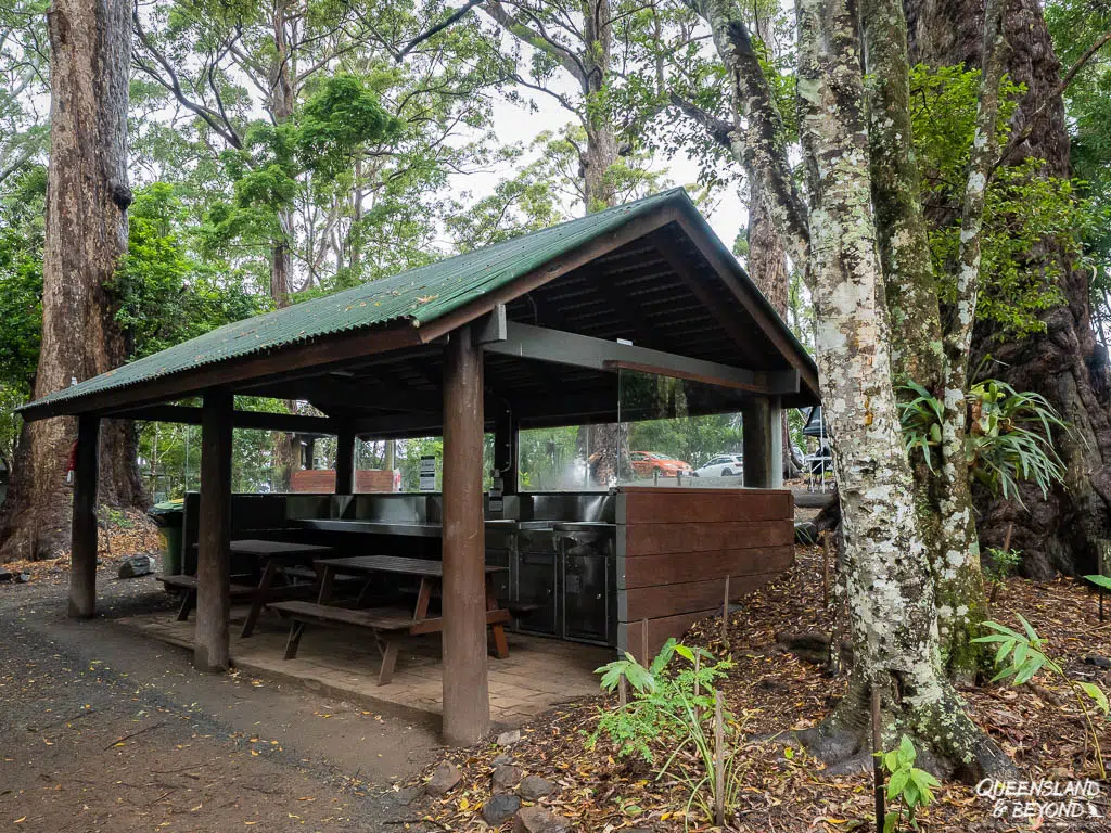 Binna Burra Rainforest Camp