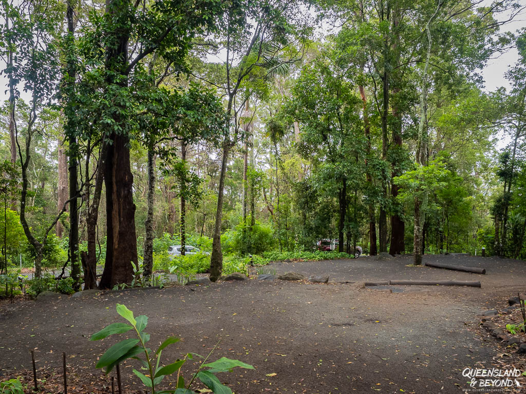 Binna Burra Rainforest Camp