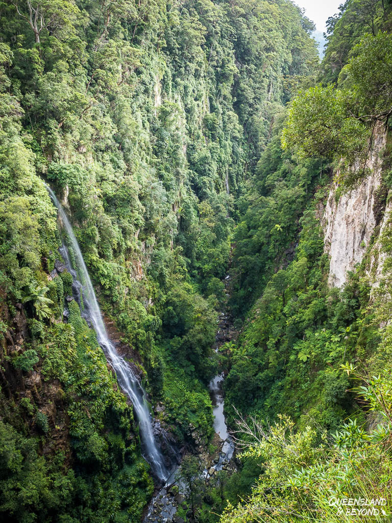 Coomera Falls, Lamington National Park