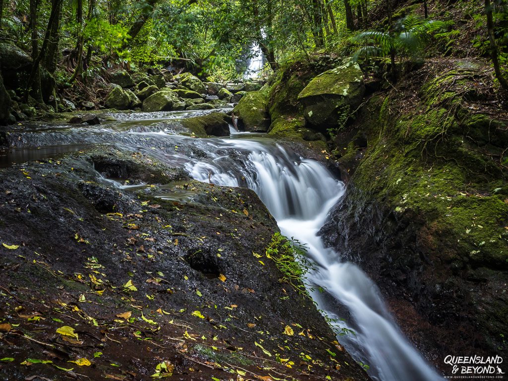 Backyard Tourist: Coomera Falls at Coomera Circuit, Binna Burra on