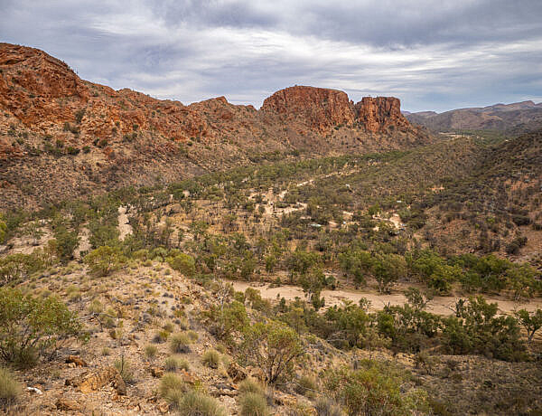 Elevated view of Trephina Gorge Nature Park in the East MacDonnell Ranges, showing a sandy, tree-lined creek bed winding through a valley flanked by rugged red rock cliffs under a cloudy sky, taken from the Panorama Walk.