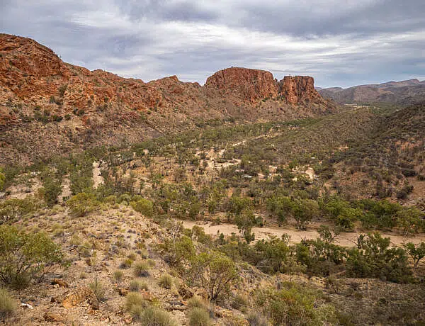 Elevated view of Trephina Gorge Nature Park in the East MacDonnell Ranges, showing a sandy, tree-lined creek bed winding through a valley flanked by rugged red rock cliffs under a cloudy sky, taken from the Panorama Walk.