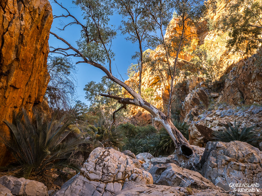 Inarlanga Pass, Larapinta Trail, Section 9