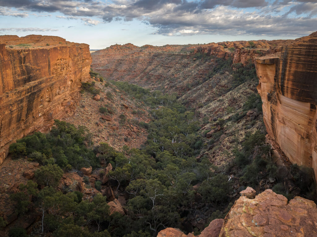 High-angle view looking down into the deep, lush green gorge of Kings Canyon in Watarrka National Park, Northern Territory, flanked by sheer sandstone cliff walls.