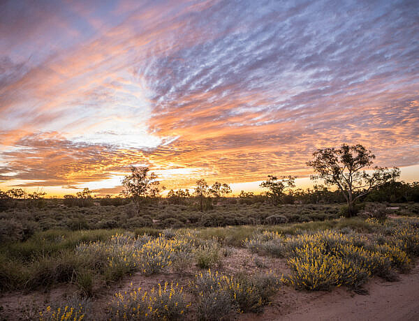 National Parks in Outback Queensland