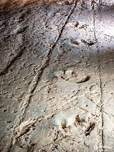 Dinosaur tracks at the Dinosaur Stampede National Monument at Lark Quarry Conservation Park, Queensland