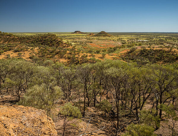 Guide to Lark Quarry Conservation Park