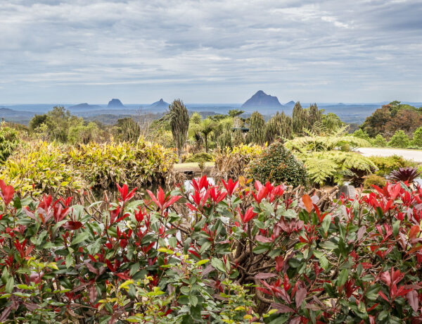 Panoramic view of the Glass House Mountains from Maleny Botanic Gardens on the Sunshine Coast