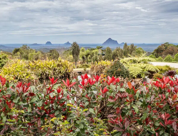 Panoramic view of the Glass House Mountains from Maleny Botanic Gardens on the Sunshine Coast