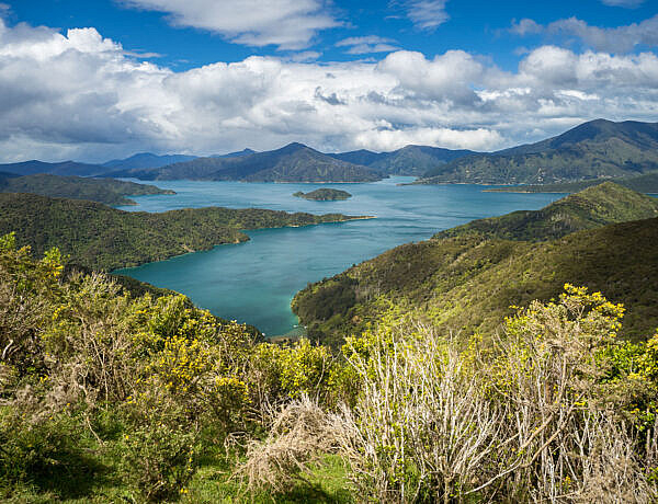 Hiking Queen Charlotte Track