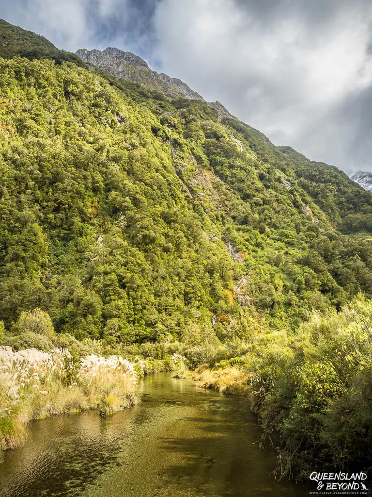 Day 2, Milford Track, New Zealand