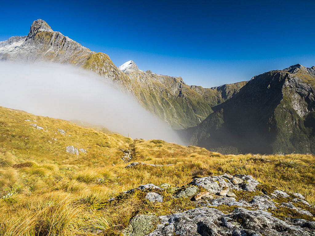 Hiking Milford Track