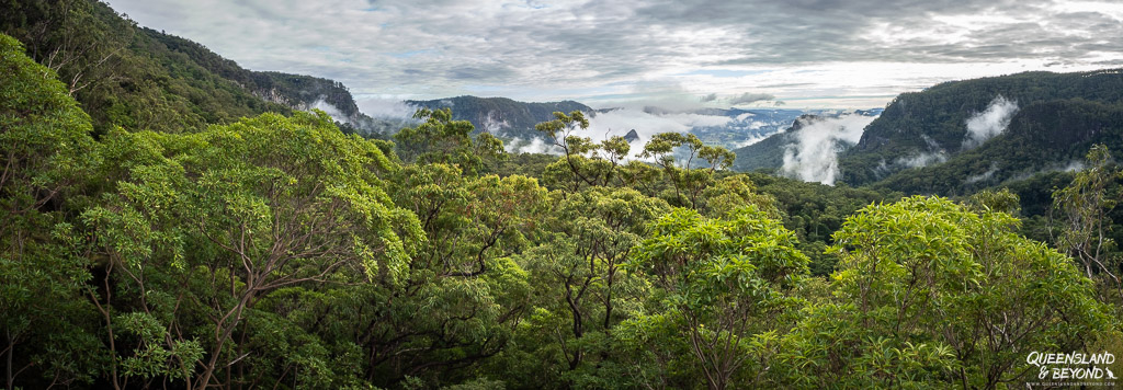 Yangahla Lookout, Lamington National Park