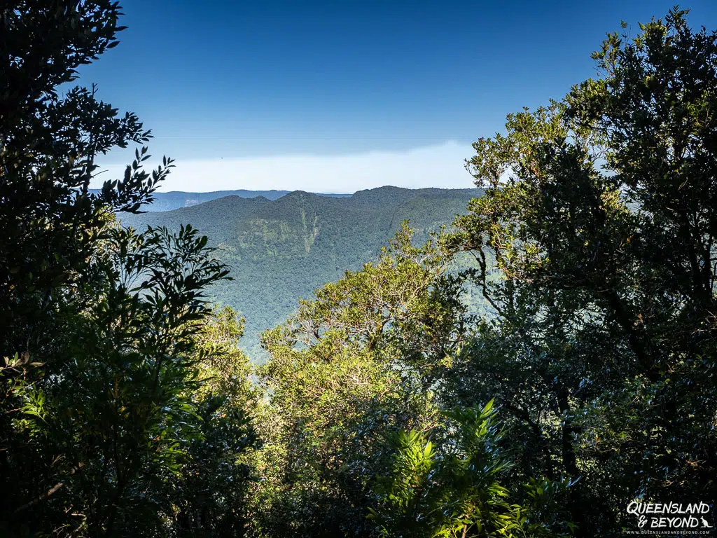 Mount Hobwee Circuit, Lamington National Park