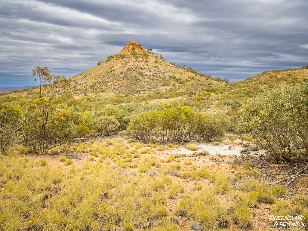 Views from the Larapinta Trail, Section 11